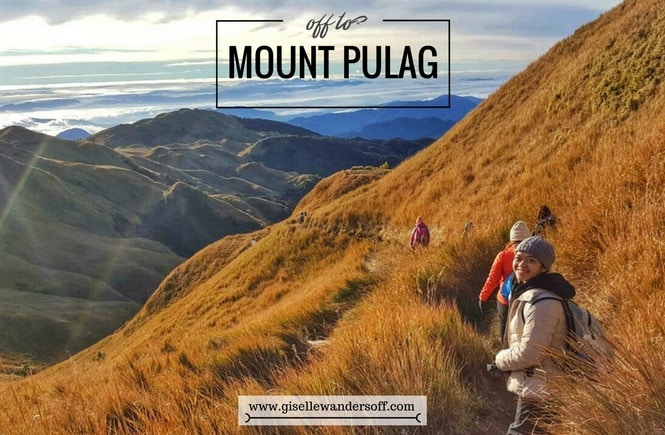 Mount Pulag National Park wandering