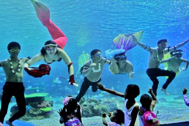 Manila Ocean Park: A Marine Wonderland in the Heart of the Capital - Luzon