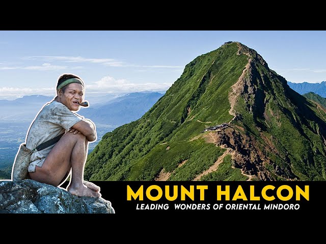 mount halcon mindoro video