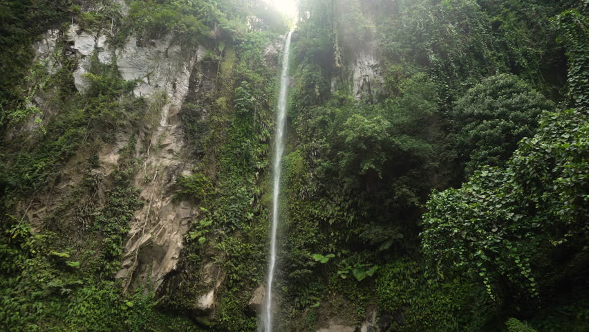 tropical-rainforest-in-mountains