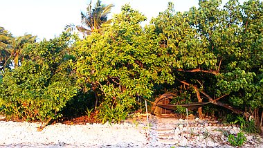 boat-tours-el-nido-coron-20160722_182102