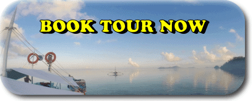book-tour-now in el nido