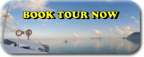 book-tour-now coron single day