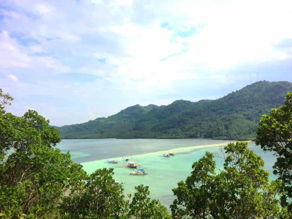 snake island near el nido