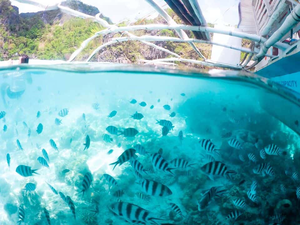 underwater world in el nido