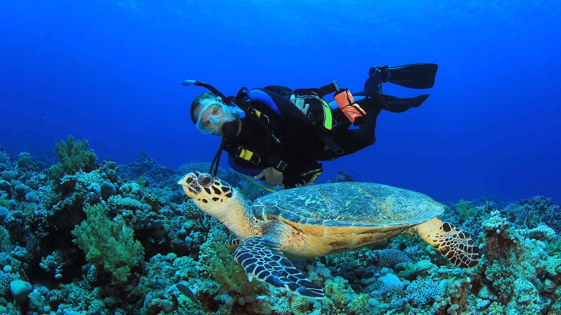 coron-fun-scuba-diving