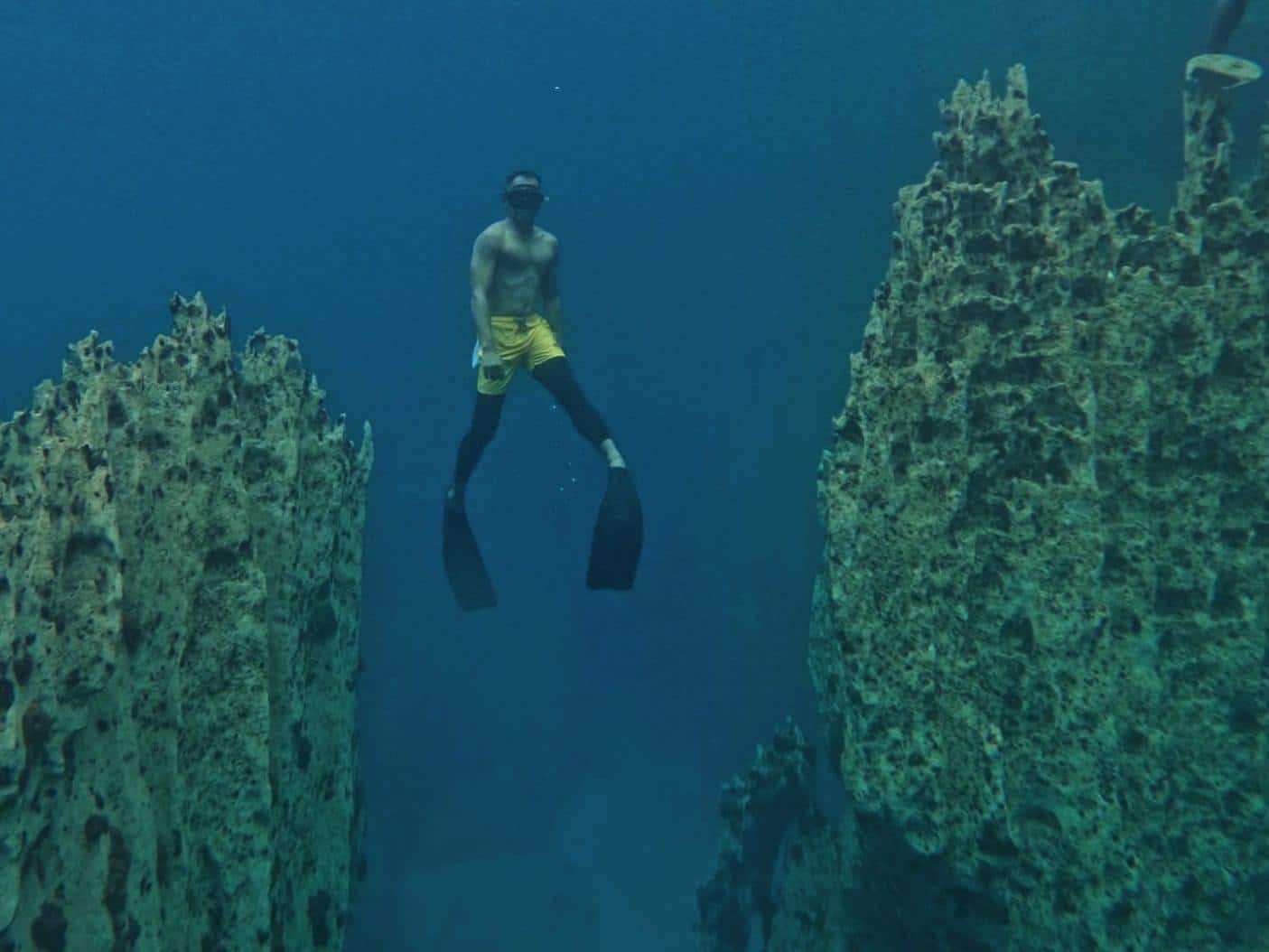 Barracuda-lake-underwater-thermocline-coron-Palawan-tour-3