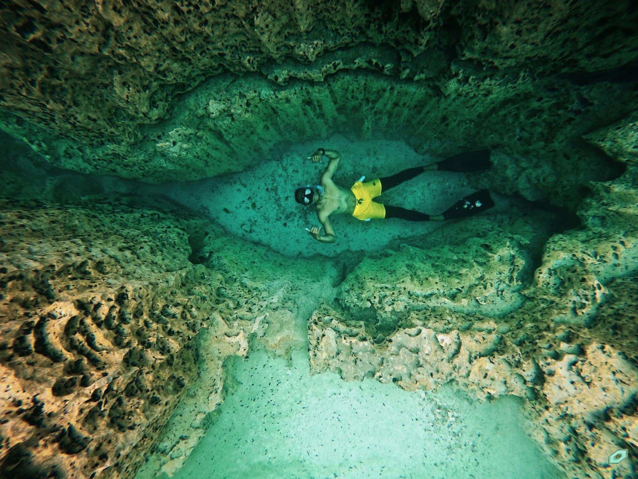 Barracuda-lake-underwater-thermocline-coron-Palawan-tour-5