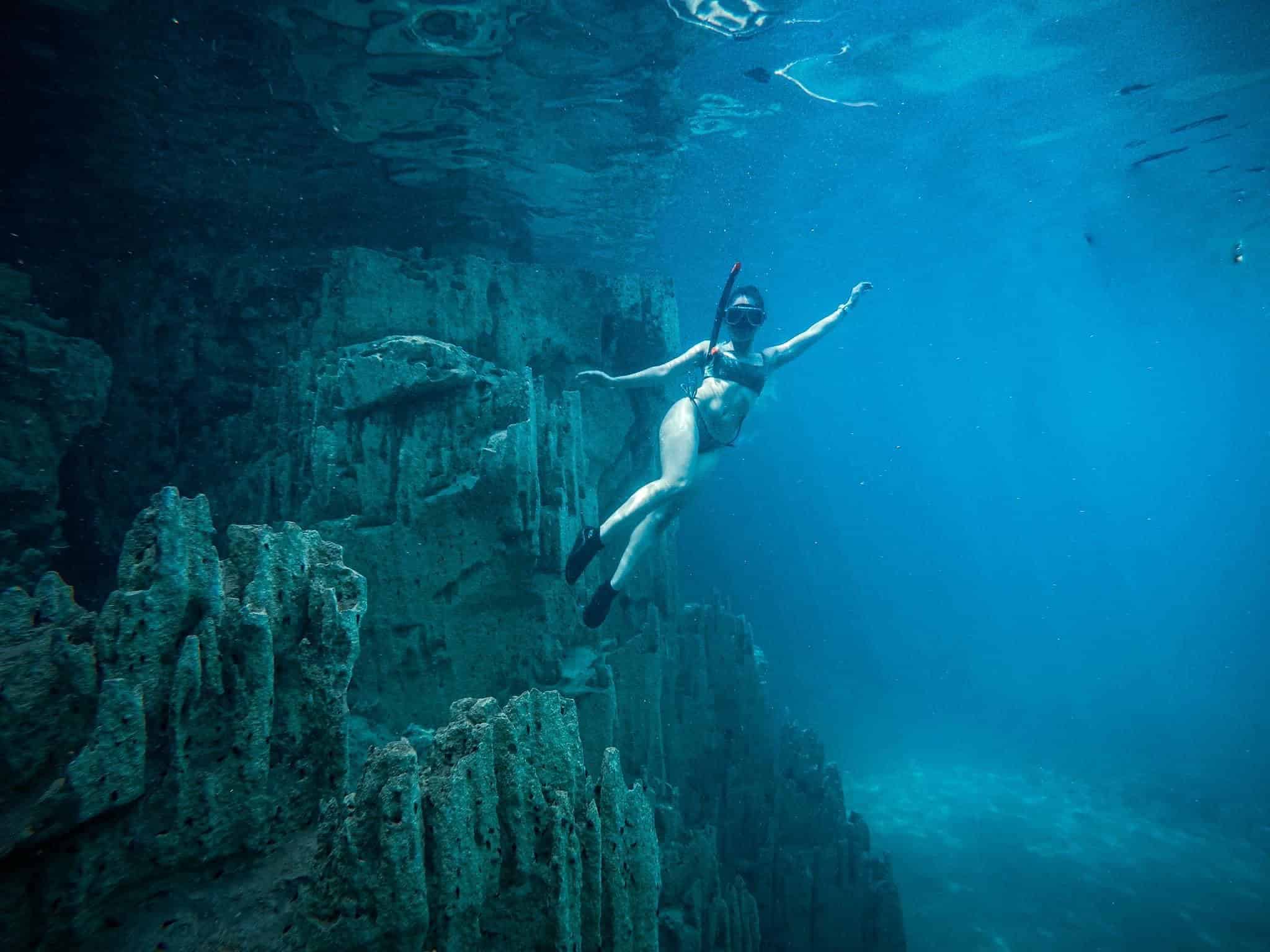 Barracuda-lake-underwater-thermocline-coron-Palawan-tour