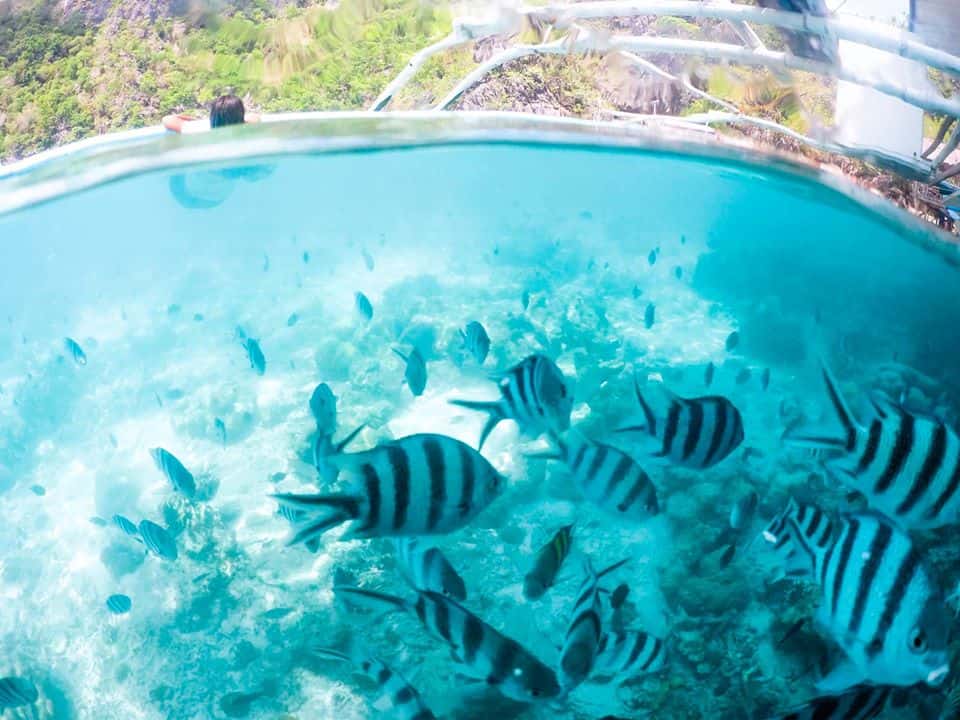 skeleton-ship-wreck-coron-palawan