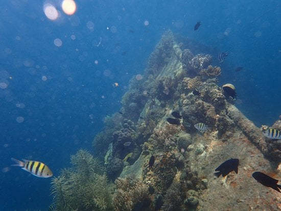 Picture of Sunken Japanese Wrecks, The Lusong Gunboat