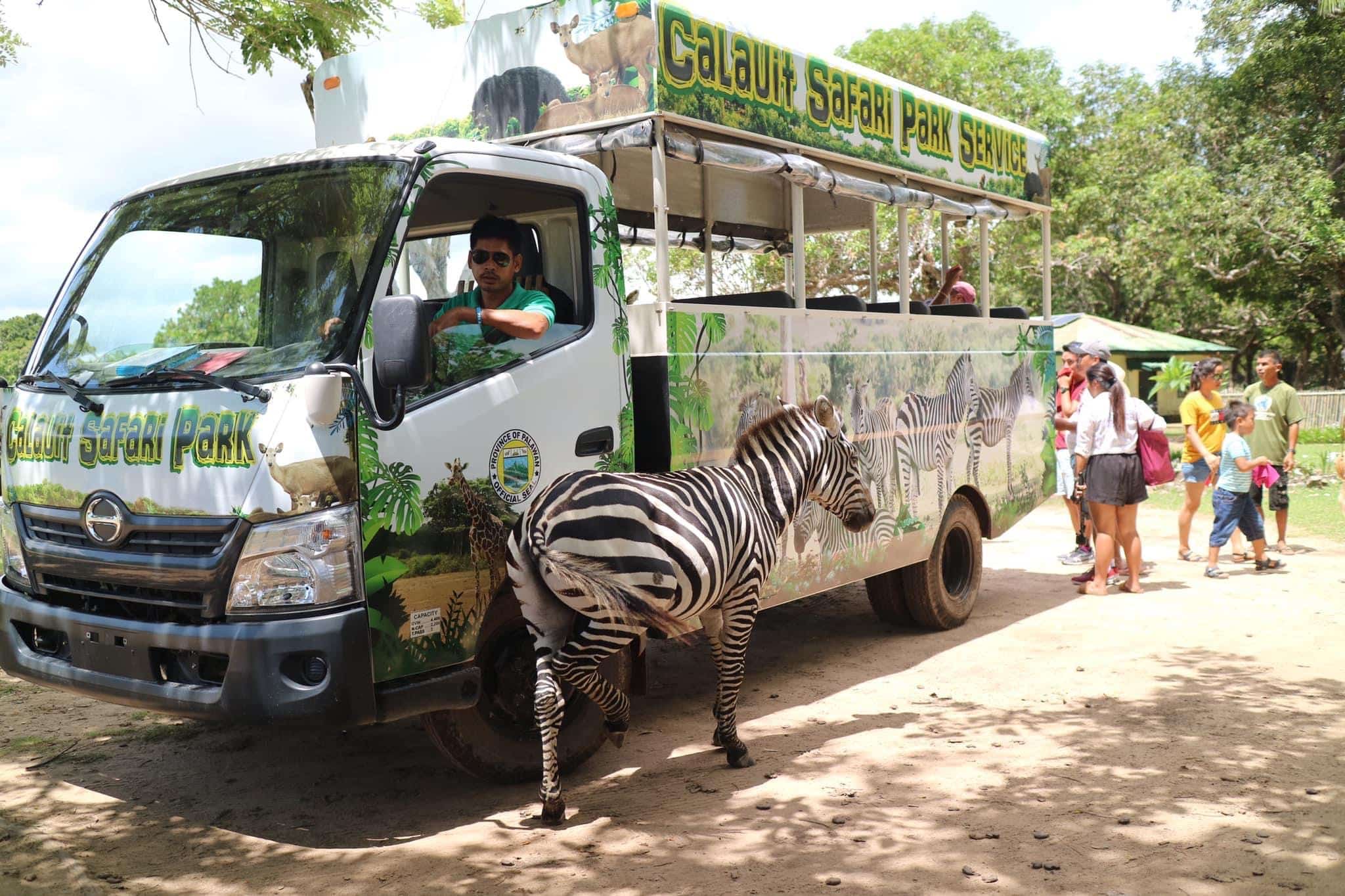 Calauit-safari-park-family-adventure-coron-Palawan-tour-philippines-17