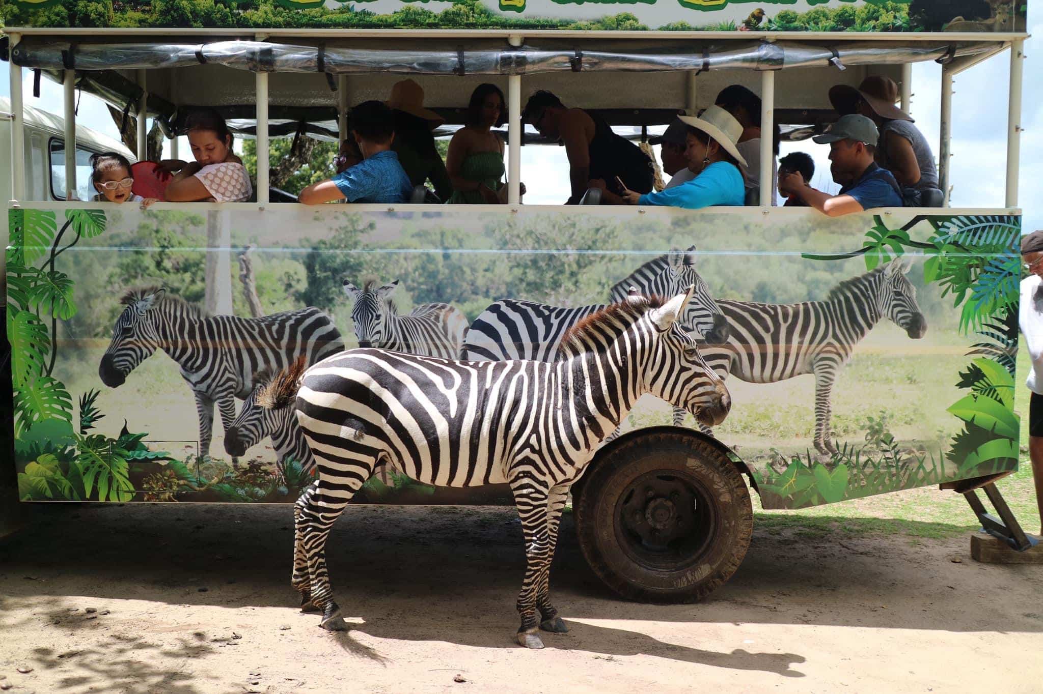 Calauit-safari-park-family-adventure-coron-Palawan-tour-philippines-18