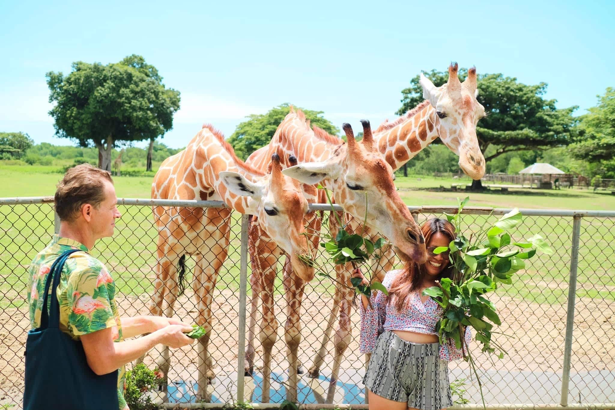 Calauit-safari-parc-aventure-famille-coron-Palawan-tour-philippines-25