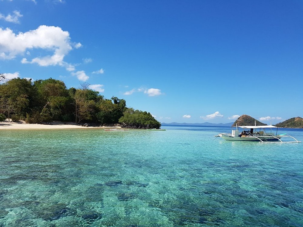 Coral-garden-coron-boat-tour-operator-palawan6