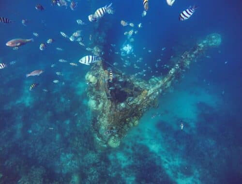 Skeleton-shipwreck-coron-Palawan-boat-tour-3