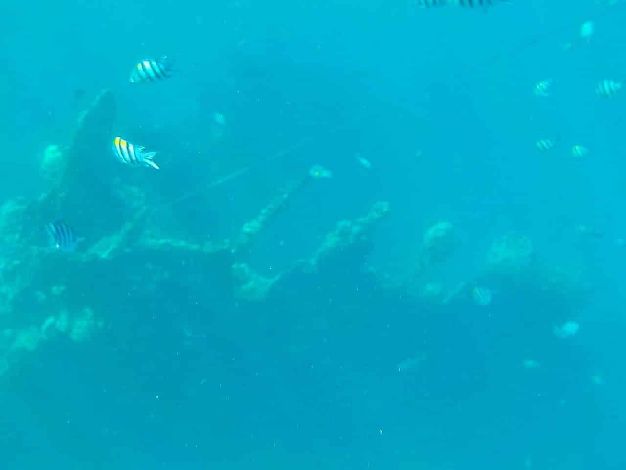 Skeleton-shipwreck-coron-Palawan-boat-tour-6