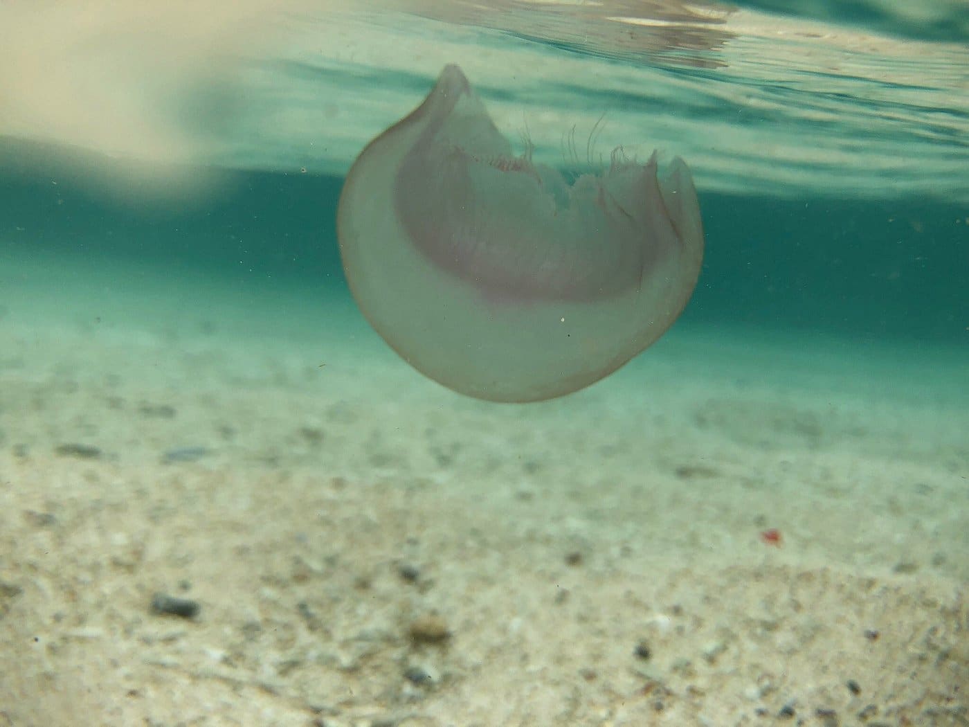 Seven-commando-beach-El-nido-Palawan-snorkeling-tour