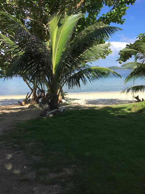 linapacan tourist camp beach palm