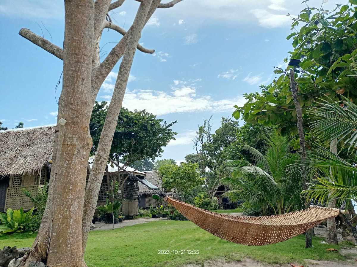 linapacan tourist camp hammock dead tree