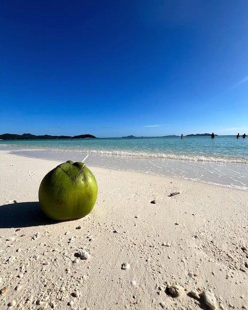 coco beach resort coconut on beach