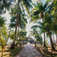 Sangat Island Dive Resort near Coron 15
