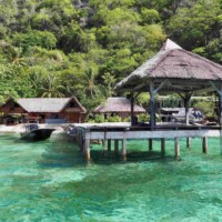 OLYMPUS DIGITAL CAMERA OLYMPUS DIGITAL CAMERA