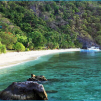 Sangat Island Dive Resort near Coron 6