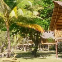 Sangat Island Dive Resort near Coron 9