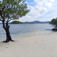 chindonan island eco resort coron accommodation 2