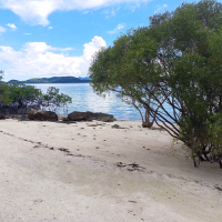 chindonan island eco resort coron accommodation 3 bedroom beachhouse 13