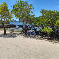 chindonan island eco resort coron accommodation main house 1