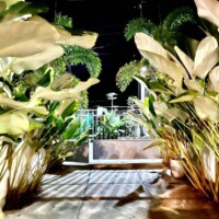 puerto princesa loft terrace