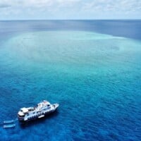 Dolphin Liveaboard sailing in clear blue waters of the Philippines, perfect for island hopping and m.