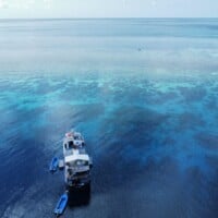 Dolphin liveaboard boat on clear blue waters in the Philippines.