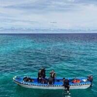 default Tourists on a boat exploring the clear blue waters of the Philippines for dolphin watching.