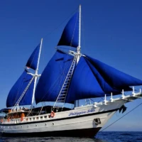 Elegant blue-sailed yacht sailing in clear blue waters near the Philippines.