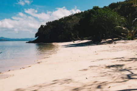 Secluded tropical beach with clear waters, shaded by trees, perfect for relaxing and island hopping.