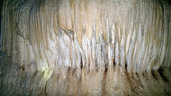 seniora-caves.jpg