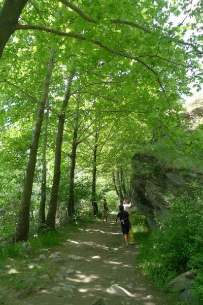 road-trip-from-Plovdiv-Bulgaria-to-Smolyan-with-Singapore-chicks_L1200675