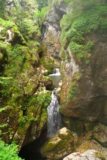 road-trip-from-Plovdiv-Bulgaria-to-Smolyan-with-Singapore-chicks_L1200928