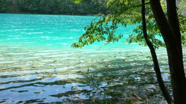 Pitkovice lakes, Croatia