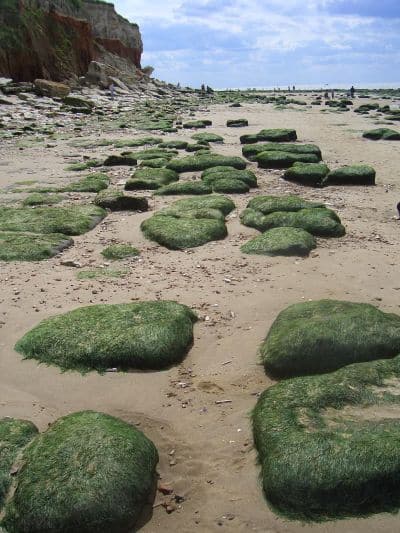 Rocks on the coast in England.