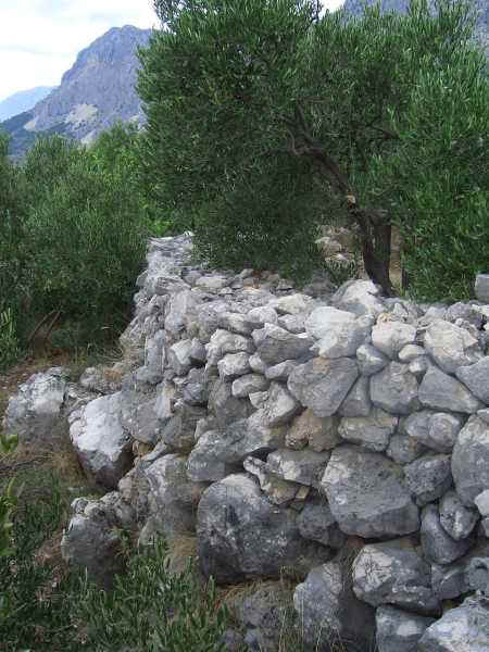 Traveling along the coast of Montenegro