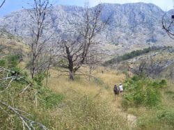 Traveling along the coast of Croatia