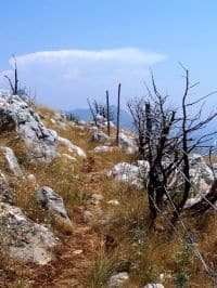 Traveling along the coast of Croatia