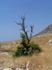 Traveling along the coast of Croatia