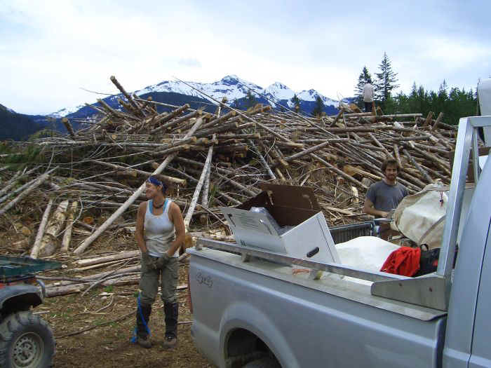 Gone Treeplanting