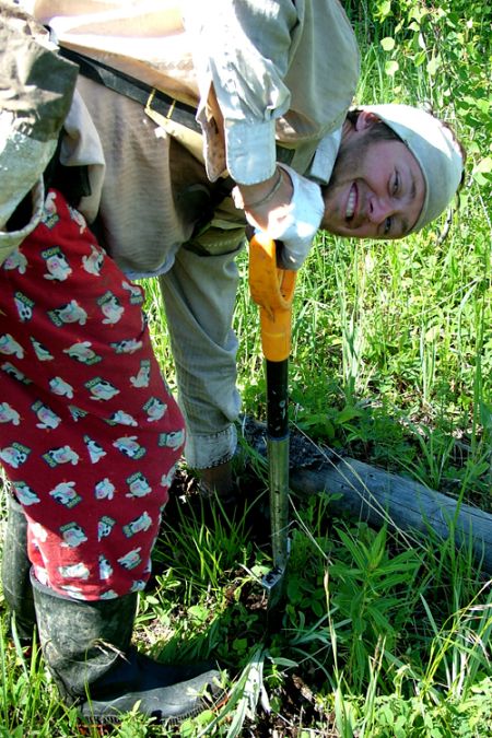 planting tree in ground