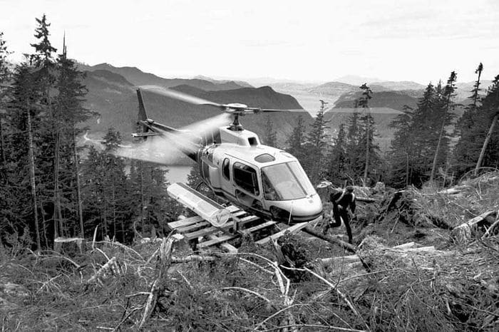 treeplanting chopper 3